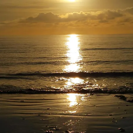 Juncos Ii Apartament