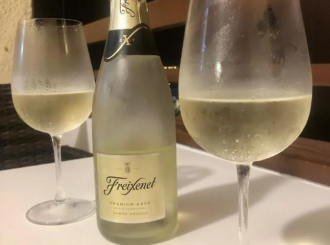 Juncos Ii 普拉亚戴尔雷安格莱斯