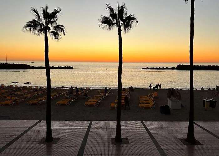 公寓 Juncos Ii 普拉亚戴尔雷安格莱斯