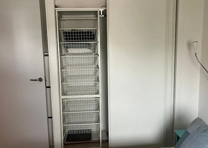 Juncos Ii * 普拉亚戴尔雷安格莱斯