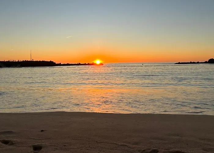 公寓 Juncos Ii 普拉亚戴尔雷安格莱斯