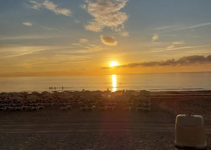 Juncos Ii 普拉亚戴尔雷安格莱斯