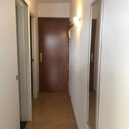 Juncos Ii Playa del Ingles (Gran Canaria)