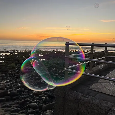 Juncos Ii Playa del Ingles (Gran Canaria)